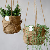 Hanging Planter Small