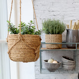 Hanging Planter Small