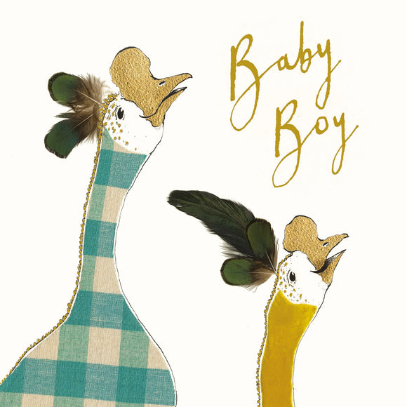 Baby Boy Geese Card