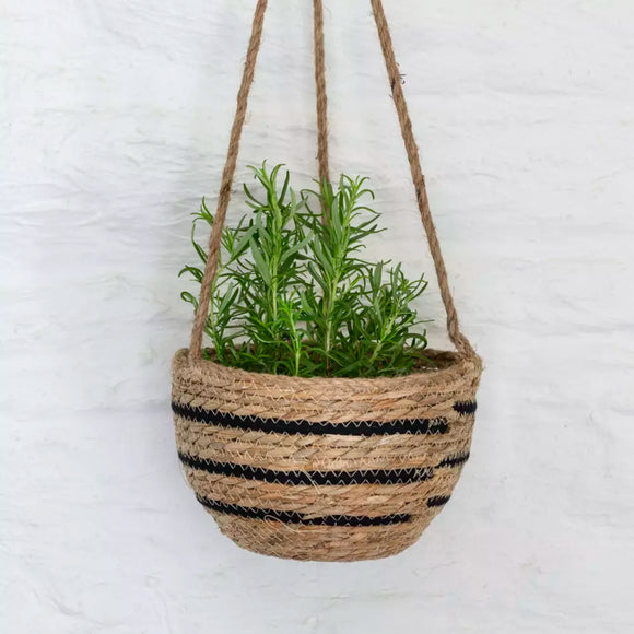 Black Stripe Hanging Basket