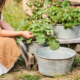 ZincPlanter Bowl - Three Sizes